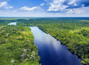 bolivia/amazon-basin/landmark/amazon-river