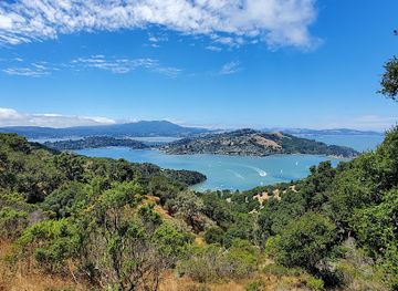 california/muir-woods-national-monument/landmark/summit-of-mt-livermore