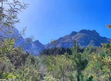 south-africa/table-mountain-national-park/landmark/newlands-forest-trail-bench