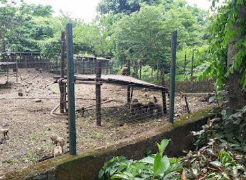 cameroon/limbe/landmark/arne-s-cafe