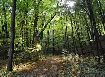 hungary/bukk-national-park/landmark/bukkos-patak-volgye