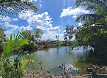 tonga/tongatapu/landmark/turtle-sanctuary