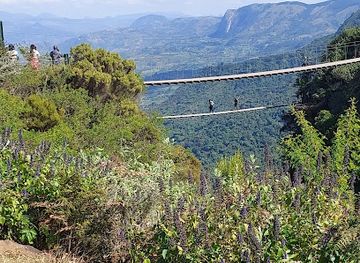 zimbabwe/bvumba-botanical-gardens/landmark/mutarazi-falls-skywalk-and-skyline