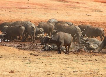 kenya/tsavo-region/landmark/tsavo-river