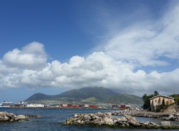 Dolphin Discovery Saint Kitts