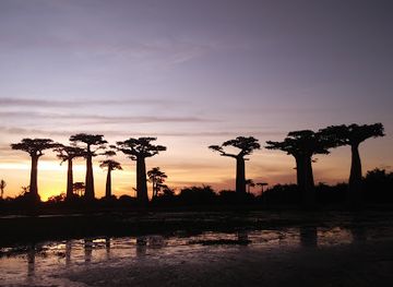 madagascar/analamanga/landmark/madagascar-junga-tour