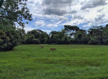 illinois/river-bend/landmark/blue-star-memorial-woods