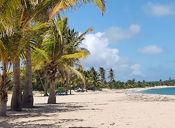 puerto-rico/vieques-island/landmark/bahia-del-sol-state-park