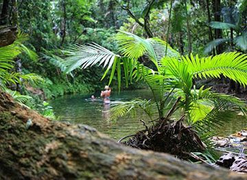 australia/daintree-rainforest/landmark/daintree-tours