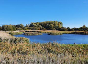 united-kingdom/cambridge-fens/attraction/rspb-fowlmere-2