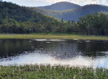 australia/atherton-tablelands/landmark/hasties-swamp-national-park