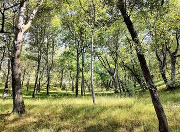 kyrgyzstan/arslanbob-walnut-forest/landmark/walnut-forest