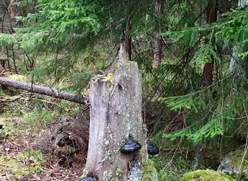 finland/halti/landmark/haltiavuori