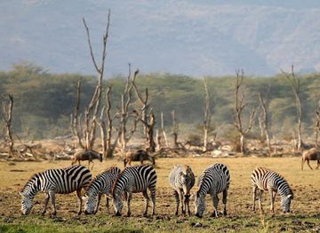 Lake Manyara National Park