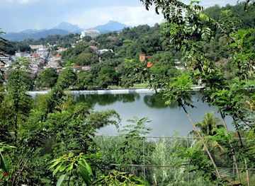 sri-lanka/kandy-district/landmark/royal-palace-park