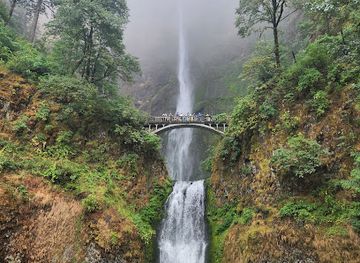 oregon/hood-river-county/landmark/multnomah-falls-recreation-area