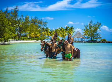 dominican-republic/punta-cana/landmark/swim-horse-punta-cana