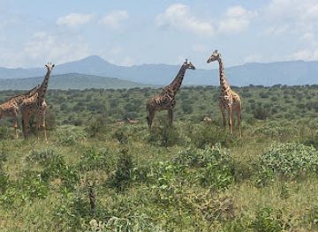 kenya/tsavo-region/landmark/tausa-tsavo-eco-lodge