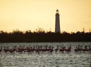 the-bahamas/inagua/landmark/friendly-tours-inagua
