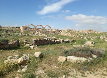 jordan/burial-mounds/landmark/fortress-of-umm-ar-rasas-old-roman-city