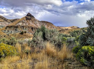 oregon/eastern-oregon/landmark/thomas-condon-visitor-center