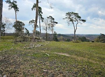 netherlands/veluwe/landmark/posbank