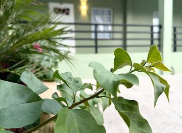 sint-maarten/oyster-pond/landmark/the-bute-hotel-sint-maarten