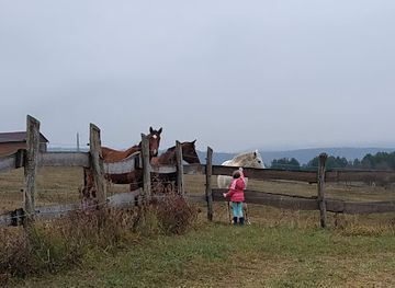 hungary/mecsek/landmark/mecsekszakal
