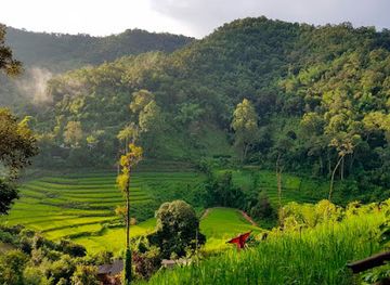 thailand/chiang-mai/landmark/chiang-mai-trekking-by-piroon-baan-nantaya-guesthouse