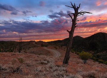 australia/great-southern/landmark/ikara-flinders-ranges-national-park