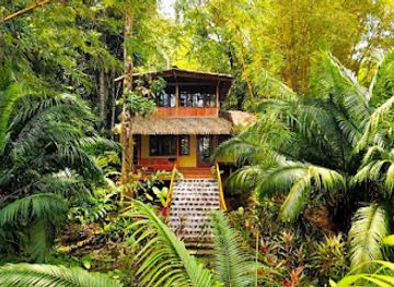 costa-rica/osa-peninsula/landmark/copa-de-arbol-beach-rainforest-resort