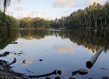 maldives/baa-atoll/landmark/mangrove