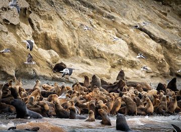 chile/magallanes-and-chilean-antarctica-region/landmark/isla-marta