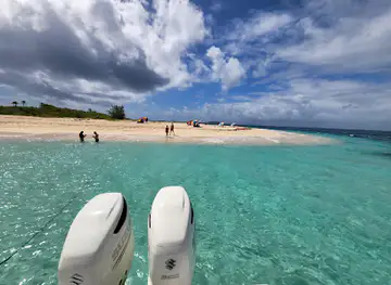 Island Reef Tours