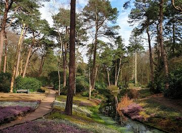 netherlands/utrechtse-heuvelrug/landmark/heidetuin