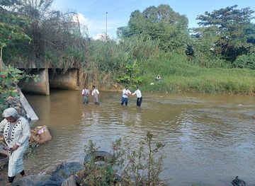 cote-d-ivoire/comoe-river/landmark/parc-national-du-banco