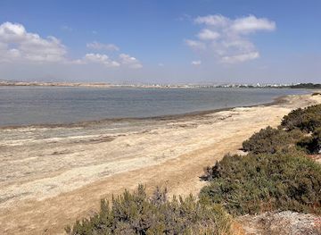 cyprus/larnaca-salt-lake/landmark/larnaca-salt-lake-trail