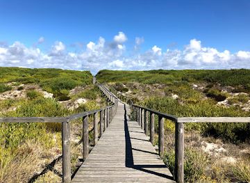 portugal/aveiro/landmark/reserva-natural-das-dunas-de-sao-jacinto