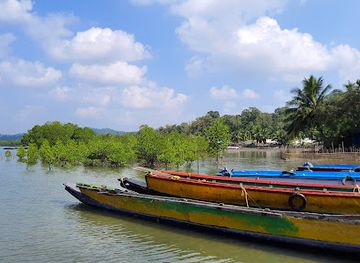 india/andaman-and-nicobar-islands/landmark/baratang-island