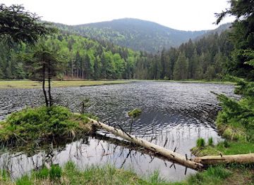 germany/bavarian-forest-national-park/landmark/kleiner-arbersee