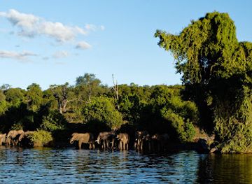 botswana/kasane/landmark/chobe-national-park