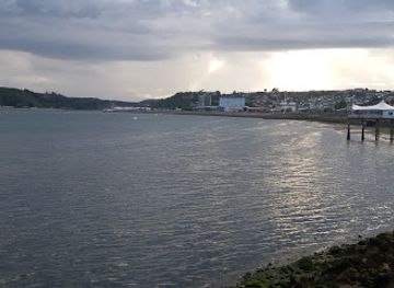 chile/los-lagos-region/landmark/lahuen-nadi-natural-monument
