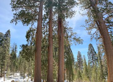 california/sequoia-national-park/landmark/beetle-rock-trail