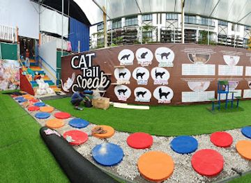 malaysia/cameron-highlands/landmark/cat-house-cameron-highlands