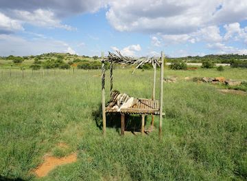 south-africa/waterberg/landmark/cheetah-experience-za-cheetah-conservation