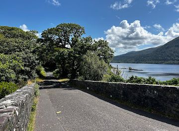 ireland/county-kerry/landmark/brickeen-bridge