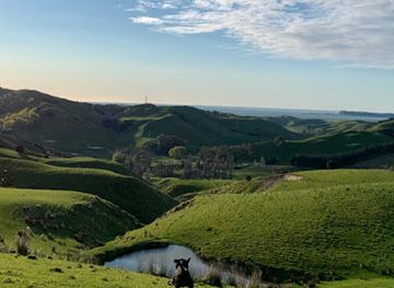 new-zealand/hawke-s-bay/landmark/hawkes-bay-escapes-farm-tours-stay