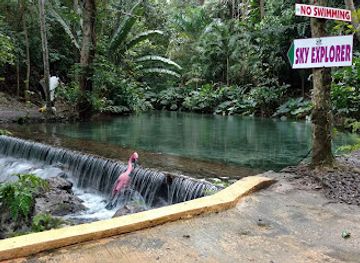 jamaica/ocho-rios/landmark/mystic-mountain