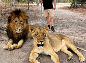 the-gambia/banjul/landmark/gambia-friendly-tours