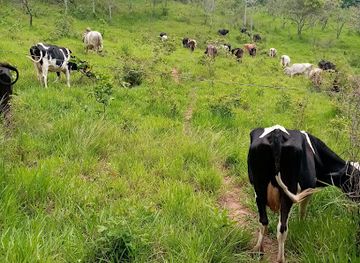 honduras/comayagua-valley/landmark/el-zompopero